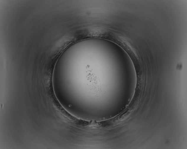 X0000091650505200708231224