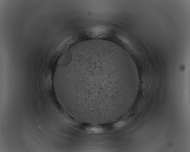 X0000091650506200708231224