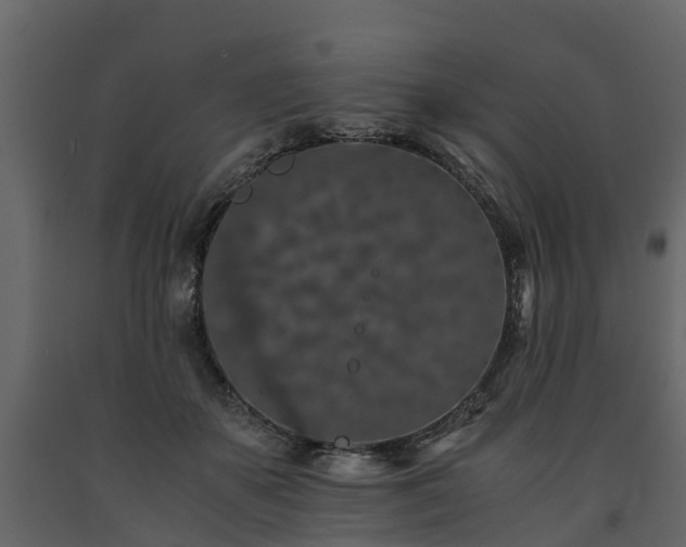 X0000091650507200708231224