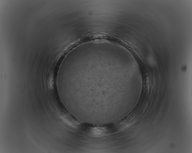 X0000091650508200708231224