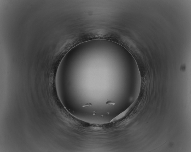 X0000091650509200708231224