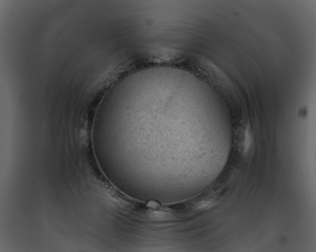 X0000091650510200708231224
