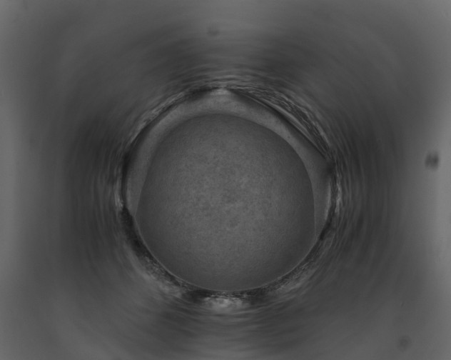 X0000091650512200708231224