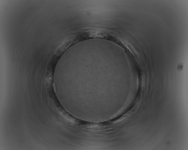 X0000091650513200708231224