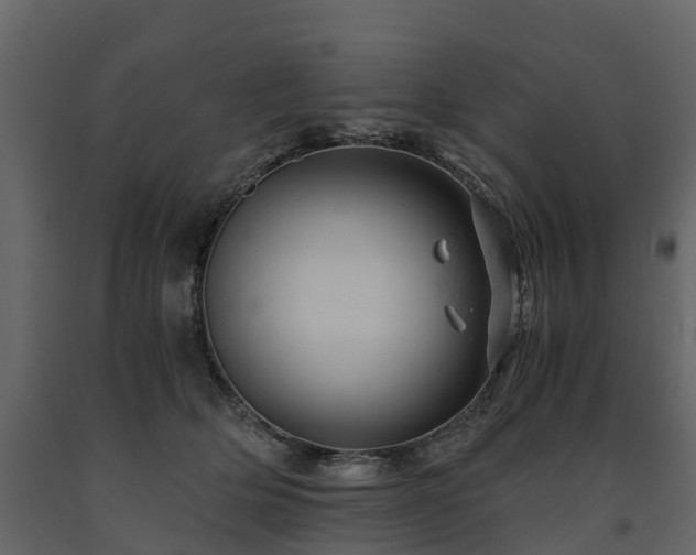 X0000091650514200708231224
