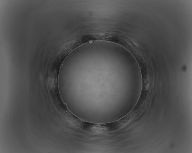 X0000091650515200708231224