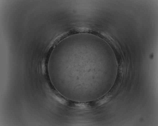 X0000091650516200708231224