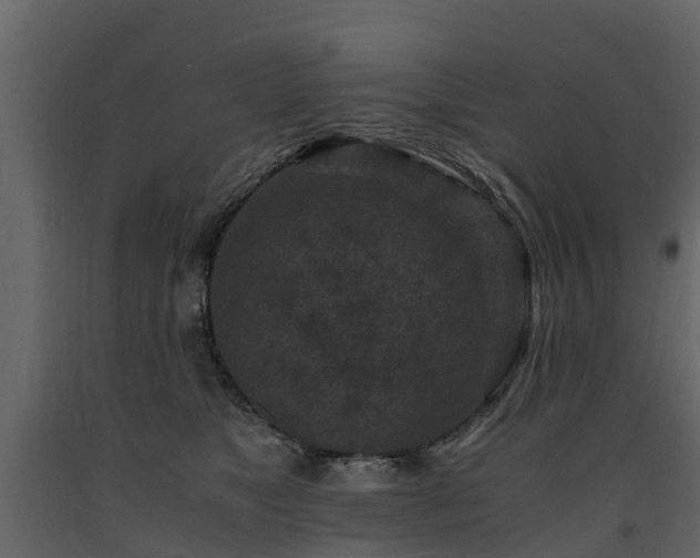 X0000091650517200708231224