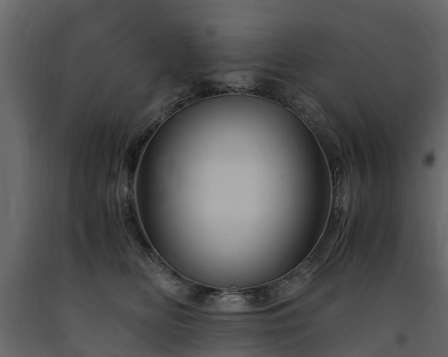 X0000091650518200708231224
