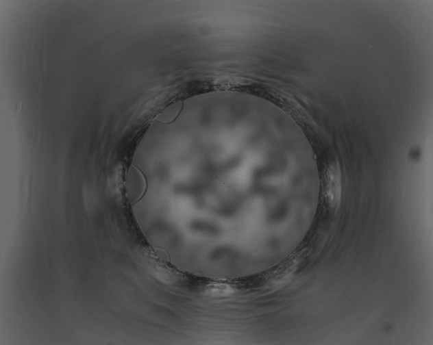 X0000091650519200708231224