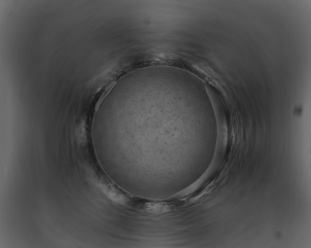X0000091650520200708231224