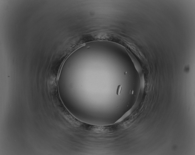 X0000091650521200708231224