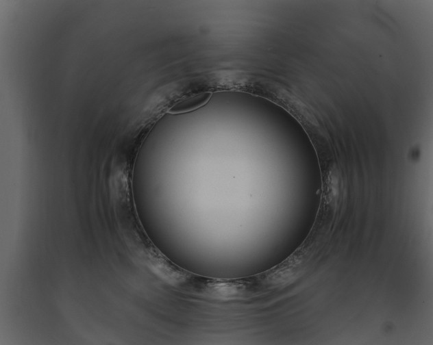 X0000091650522200708231224