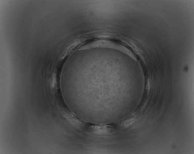 X0000091650524200708231224