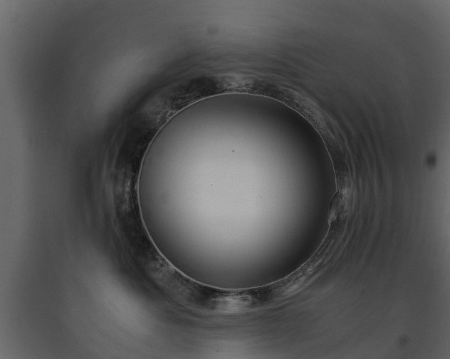 X0000091650525200708231224