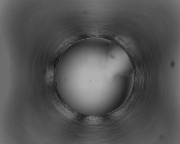 X0000091650526200708231224