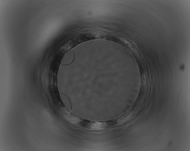 X0000091650527200708231224