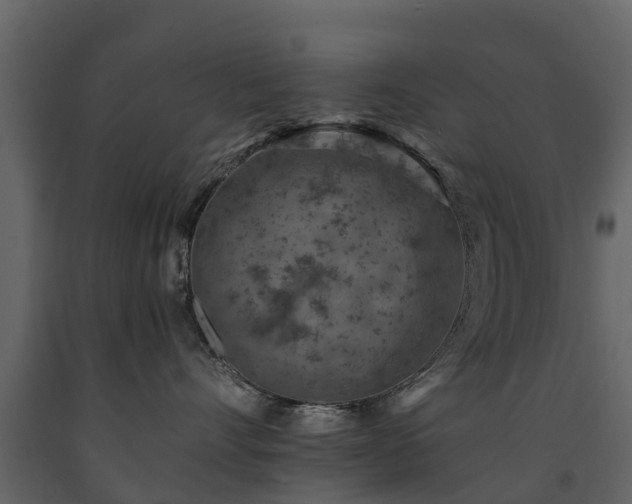 X0000091650528200708231224