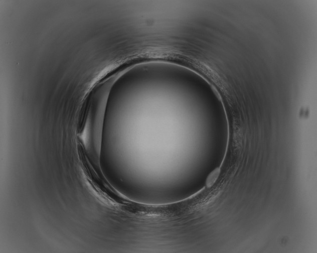 X0000091650530200708231223