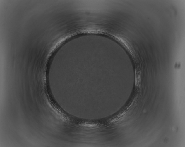 X0000091650531200708231223