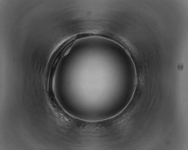 X0000091650532200708231223