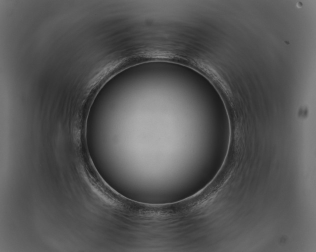 X0000091650533200708231223