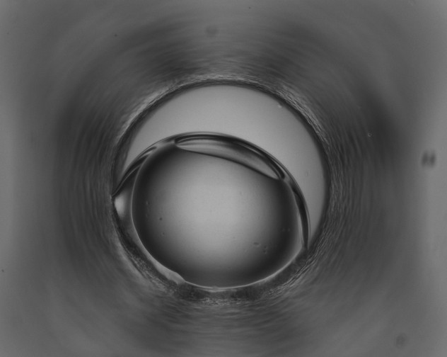 X0000091650534200708231223