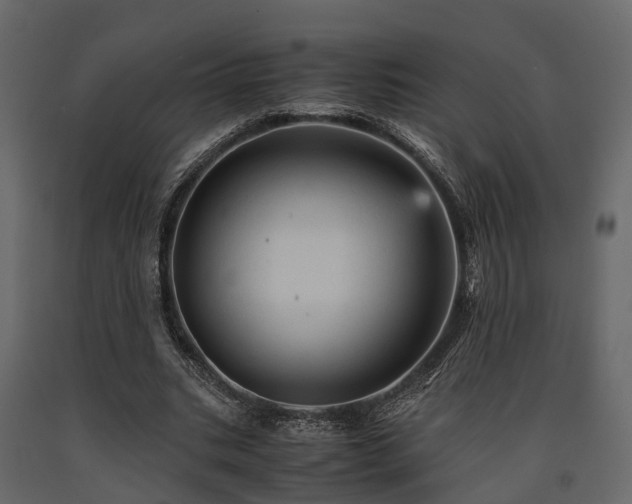 X0000091650535200708231223