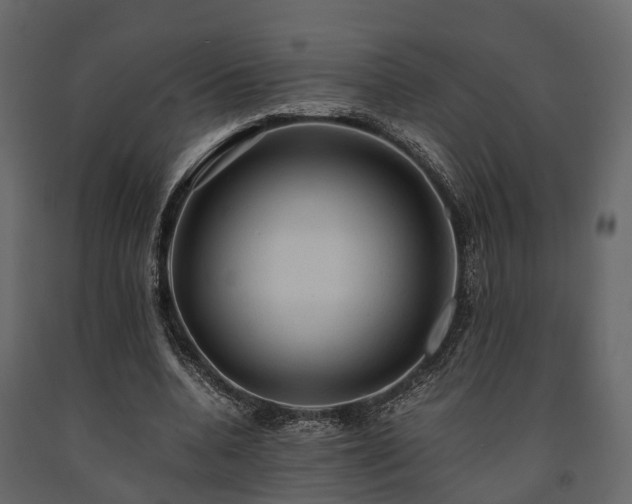 X0000091650536200708231223