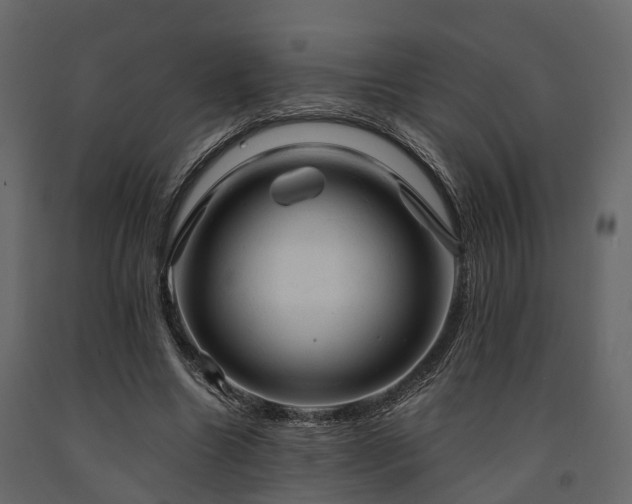 X0000091650538200708231223