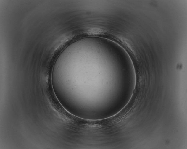 X0000091650539200708231223