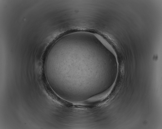 X0000091650540200708231223