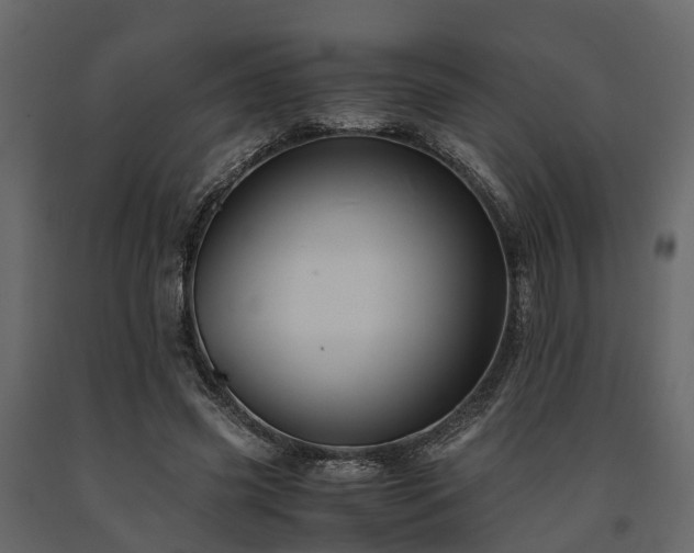 X0000091650541200708231223