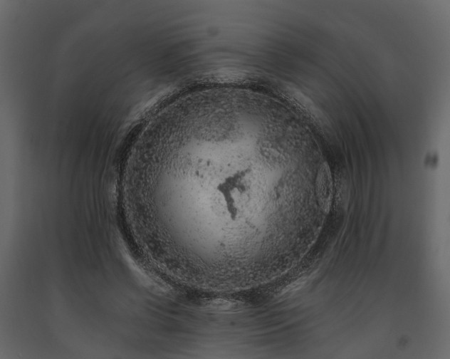 X0000091650542200708231223