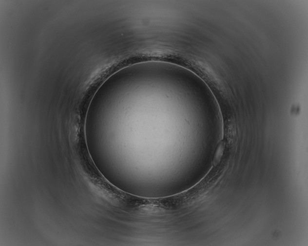 X0000091650544200708231223