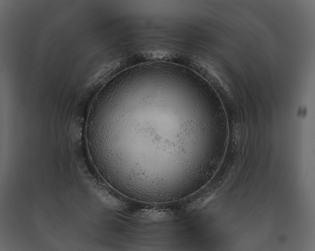 X0000091650545200708231223