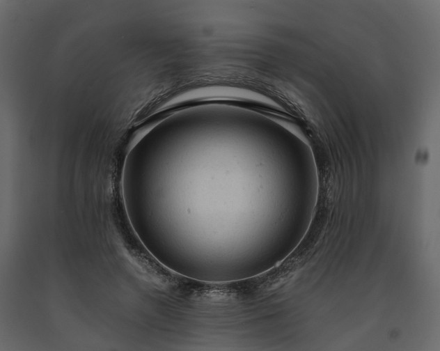 X0000091650546200708231223