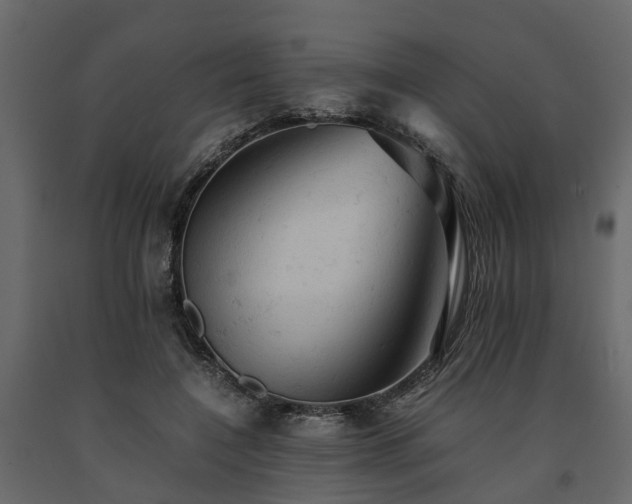X0000091650548200708231223