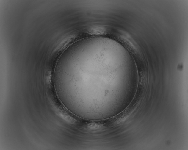 X0000091650549200708231223