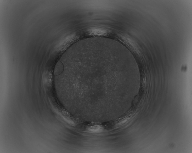 X0000091650551200708231223