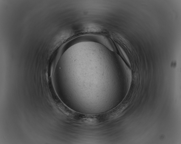 X0000091650552200708231224