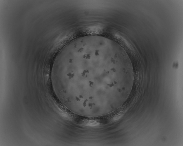 X0000091650553200708231224