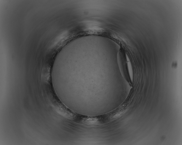 X0000091650554200708231224