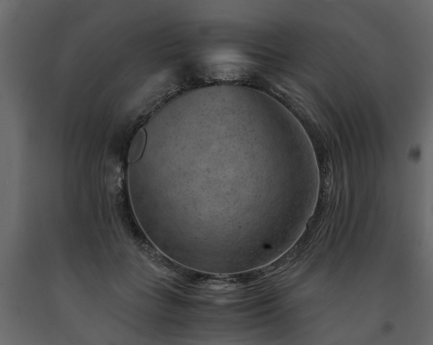 X0000091650555200708231224