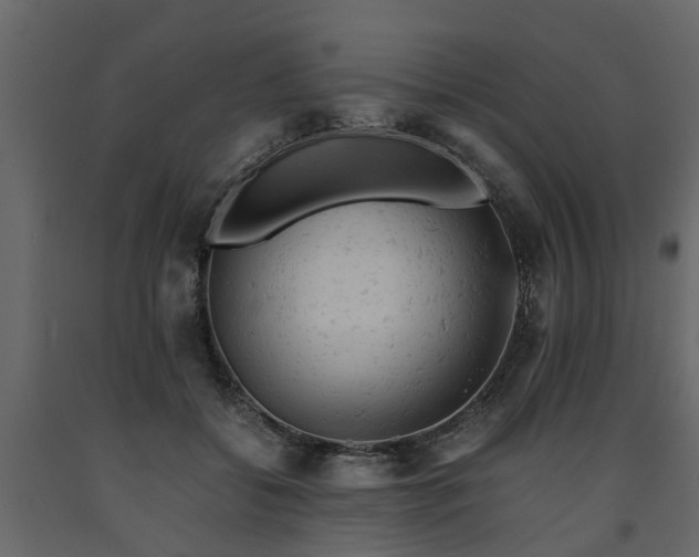 X0000091650556200708231224