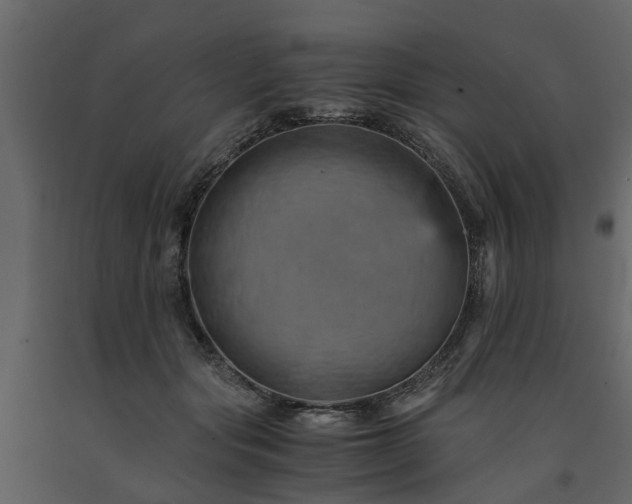 X0000091650557200708231224