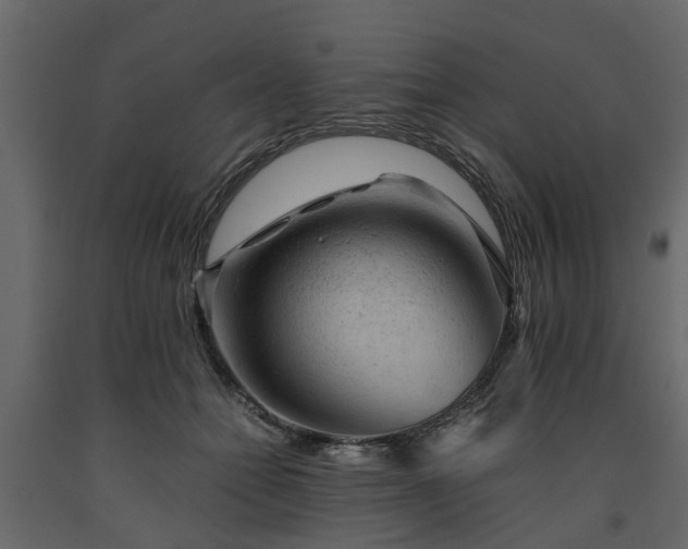 X0000091650558200708231224