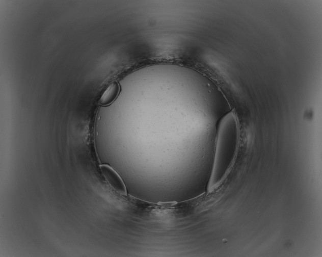 X0000091650560200708231224