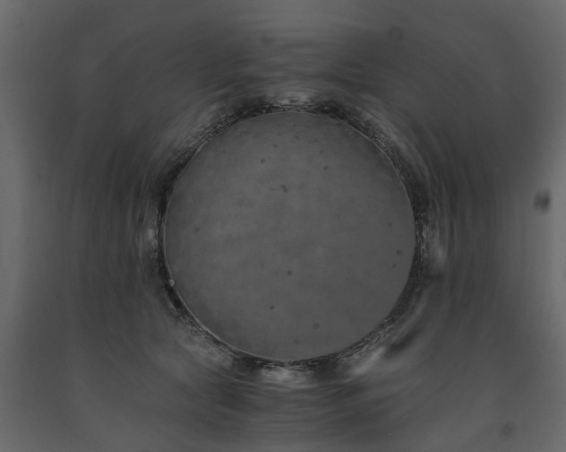 X0000091650561200708231224