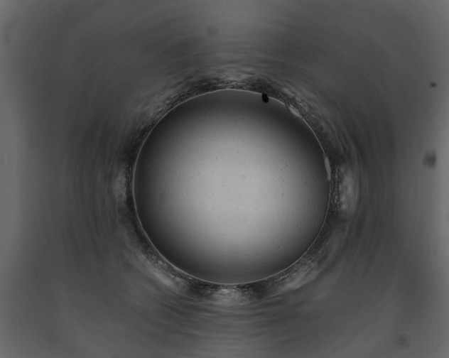 X0000091650562200708231224